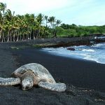 Playa de arena negra