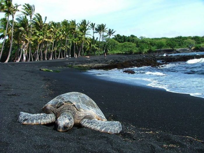 Playa de arena negra