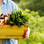 Mujer cosechando vegetales