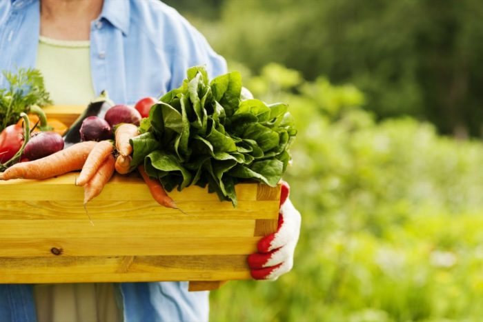 Mujer cosechando vegetales