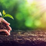 Bid Invest revisa sus políticas ambientales y sociales