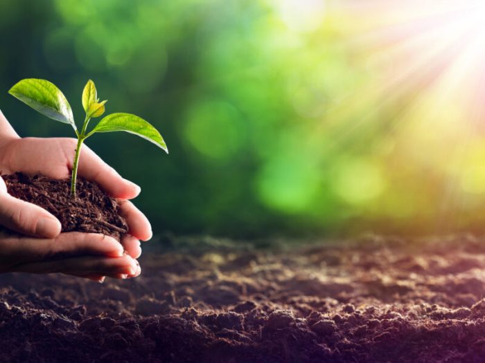 Bid Invest revisa sus políticas ambientales y sociales