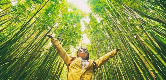 BID Invest y la sostenibilidad ambiental