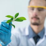 Empleos que salvan el medio ambiente
