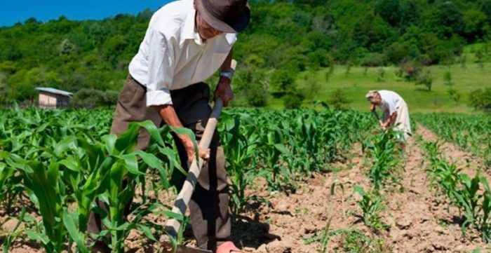 Agricultura y pesca en Guatemala