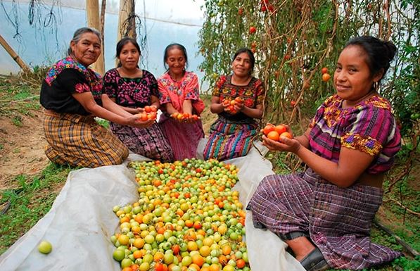 Agricultura y pesca en Guatemala