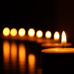 Cómo hacer tu propia planta de luz en casa