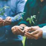 Empresas Sostenibles: Compromiso con el Medio Ambiente