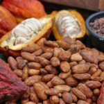 Detrás del cacao guatemalteco