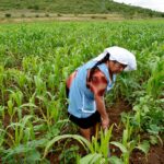 Aspectos económicos de Guatemala