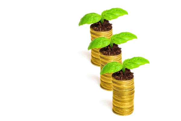 Metas financieras