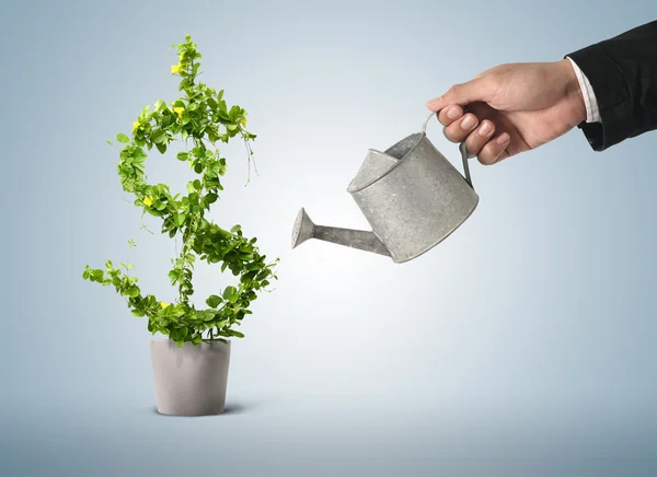 ETFs Temáticos en Perú