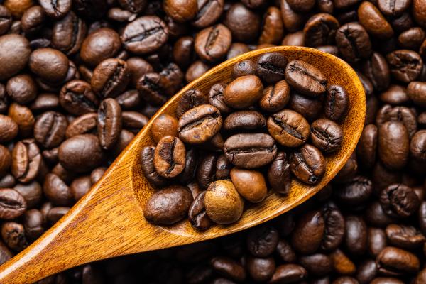 La Ruta del Café