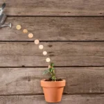Consejos para invertir