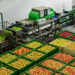 Tendencias de consumo en la industria alimentaria