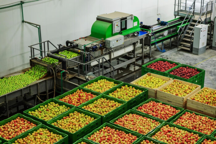 Tendencias de consumo en la industria alimentaria