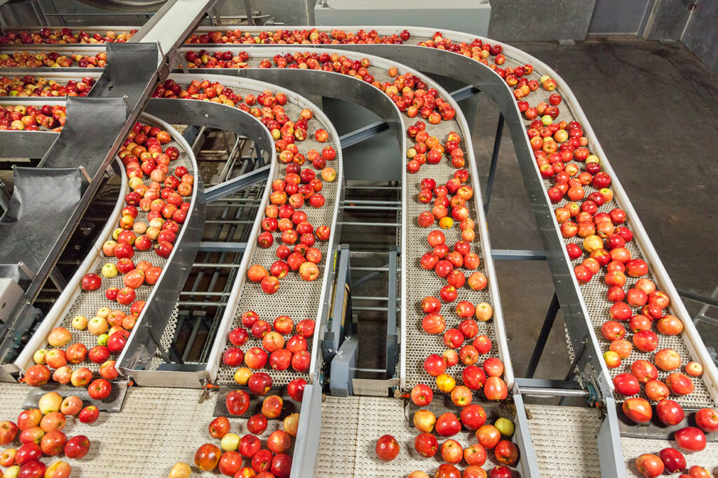 El futuro de la industria alimentaria en Latinoamérica