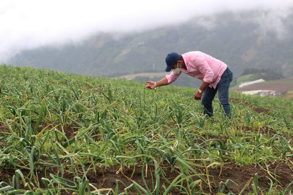 agricultura