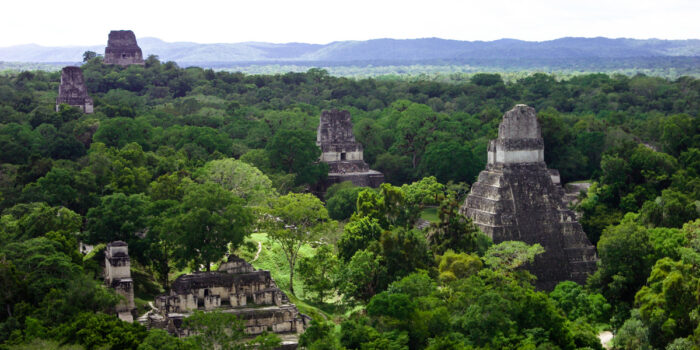 tikal cultura en guatemala