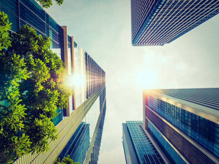 Innovación empresarial
