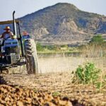 sector agropecuario