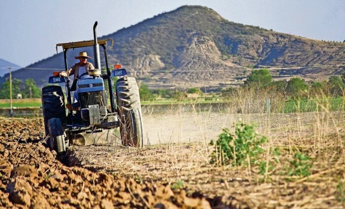 sector agropecuario