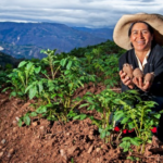 Mujeres emprendedoras en comunidades rurales