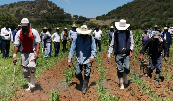 Por qué las cooperativas comunitarias son una alternativa al desarrollo del campo