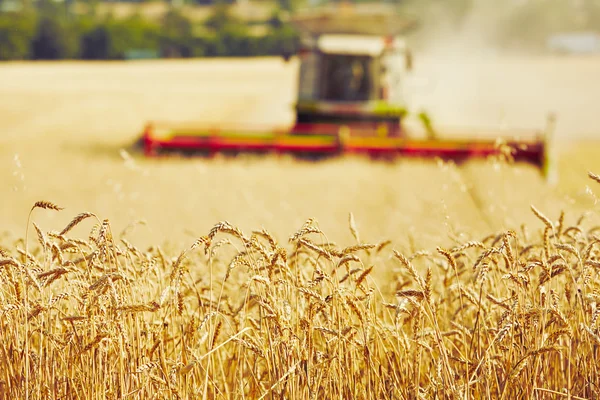 agricultura