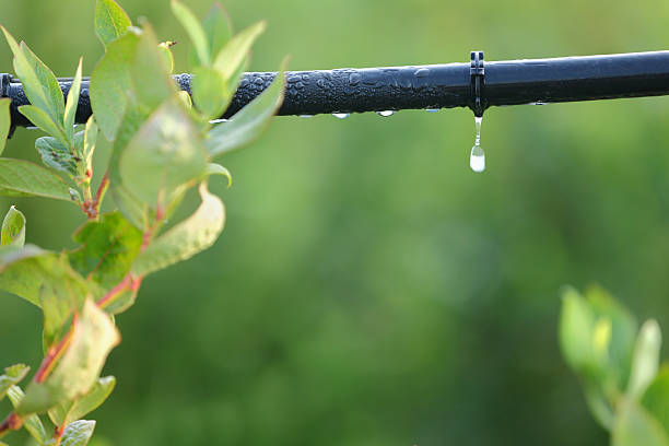 agua en Guatemala