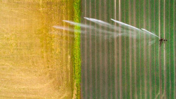 agua en la agricultura