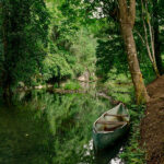biodiversidad