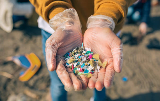 contaminación por plásticos