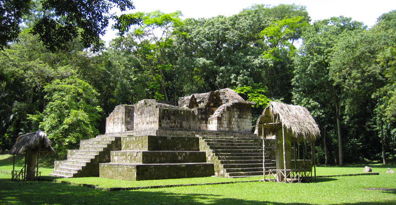 maya